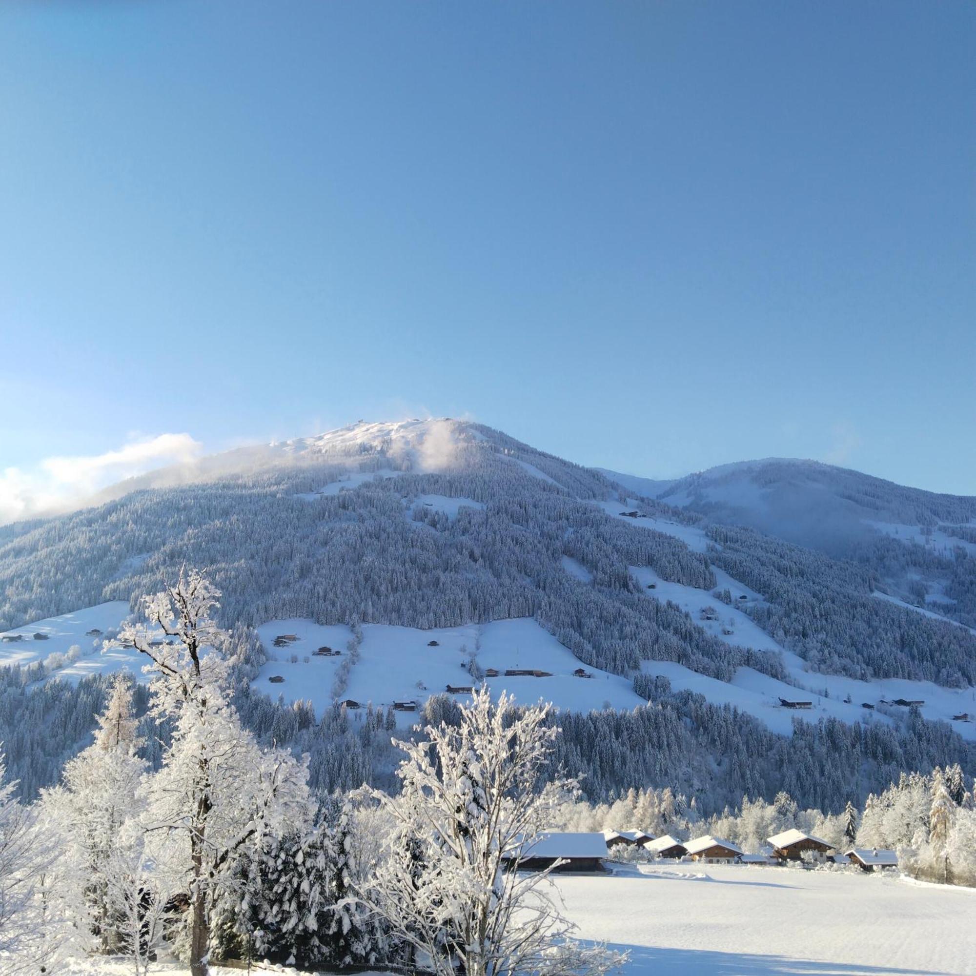 Alpbachblick Exterior foto