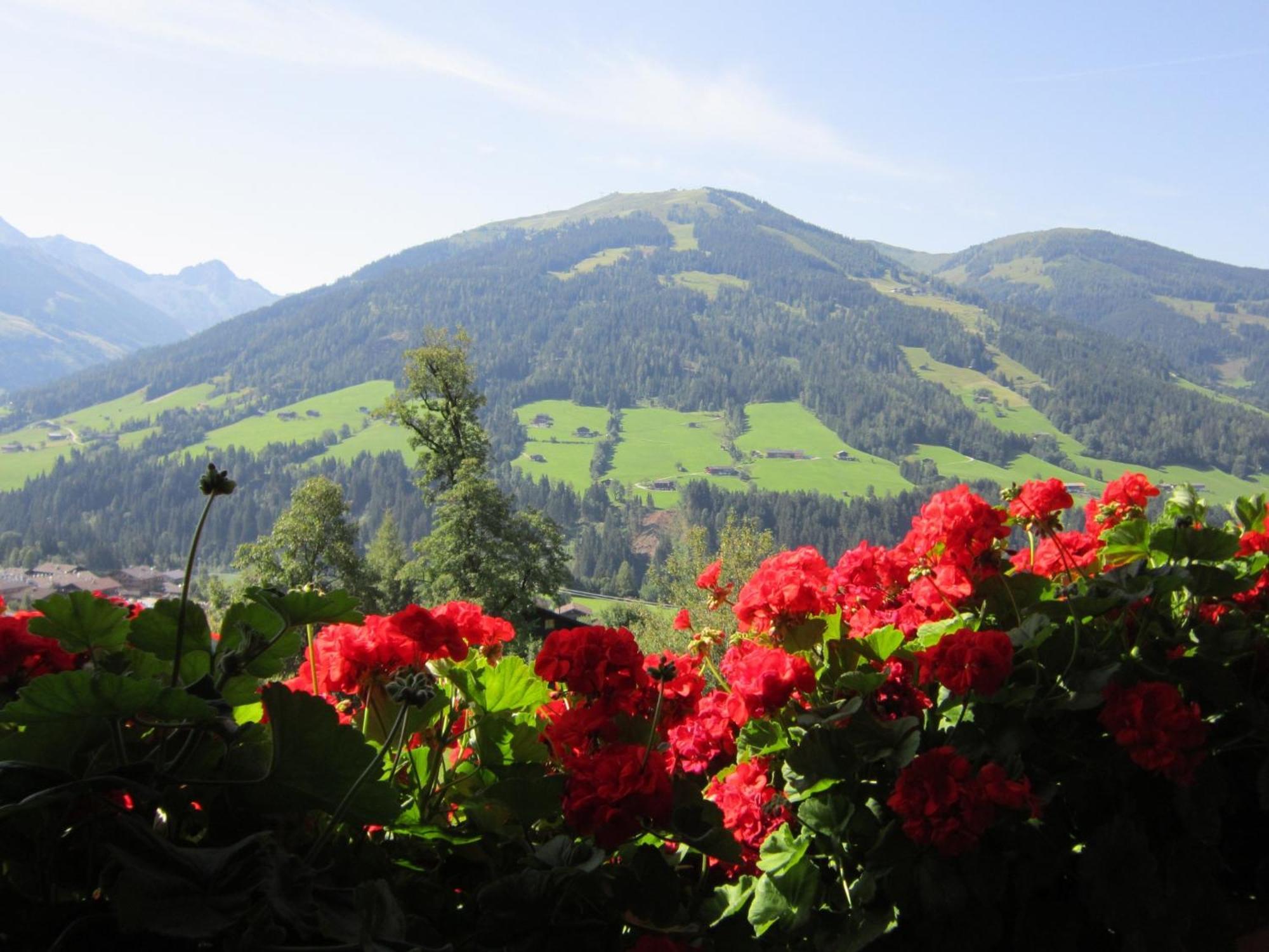 Alpbachblick Exterior foto